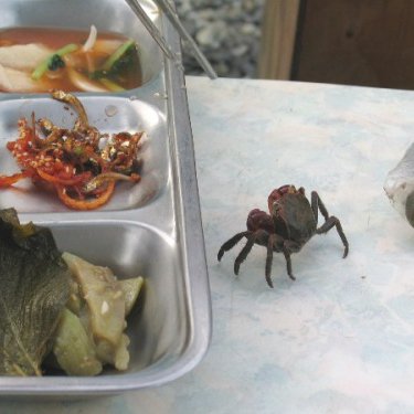 2004년 고등부 여름수련회 사진 42