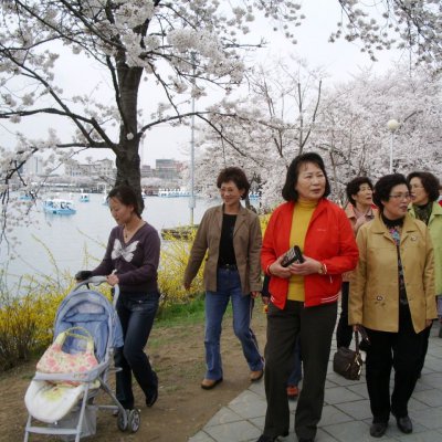제3여전도회 야외예배 (경주) 사진 6