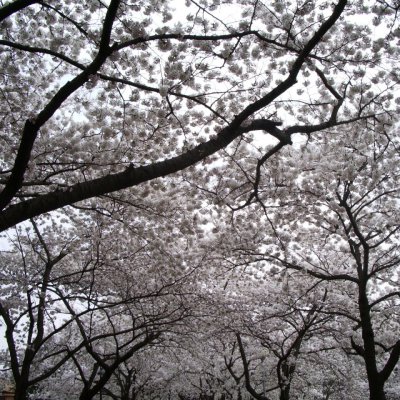 제3여전도회 야외예배 (경주) 사진 8