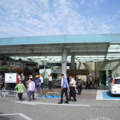 양정경로대학 가을소풍 사진 46