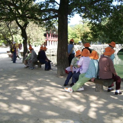양정경로대학 가을소풍 사진 69