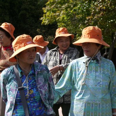 양정경로대학 가을소풍 사진 71