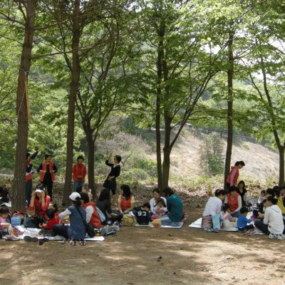2009년 아기학교 딸기밭 체험 사진 7