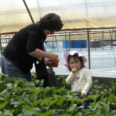2009년 아기학교 딸기밭 체험 사진 15