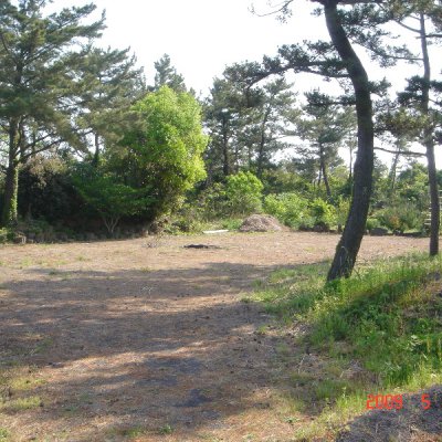 어린이부 수련회 답사 (제주도) 사진 10