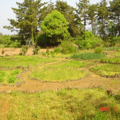 어린이부 수련회 답사 (제주도) 사진 33