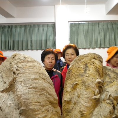2010년 경로대학 봄소풍 사진 44