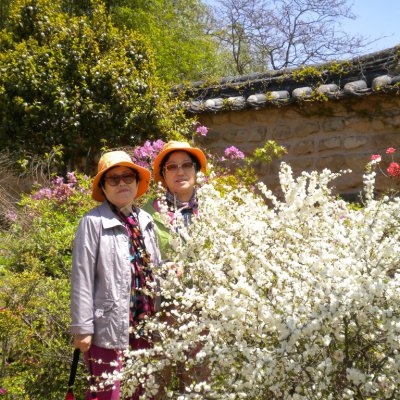 2010년 경로대학 봄소풍 사진 47
