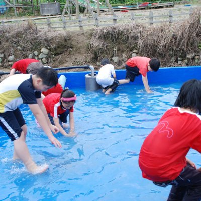 어린이부 여름성경학교 (4/6) 사진 8
