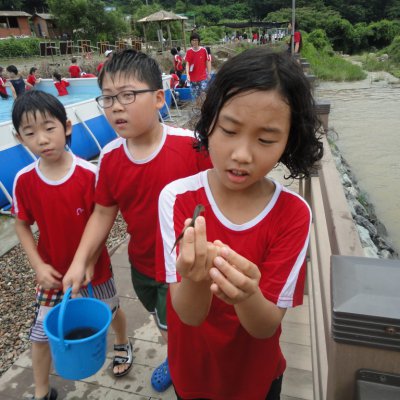 어린이부 여름성경학교 (4/6) 사진 49