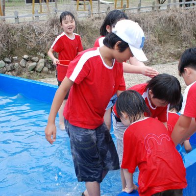 어린이부 여름성경학교 (4/6) 사진 76