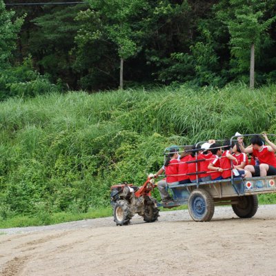 2010 어린이부 여름성경학교 #3 사진 182