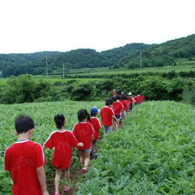 2010 어린이부 여름성경학교 #3 사진 223