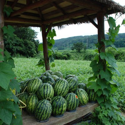 2010 어린이부 여름성경학교 #3 사진 274