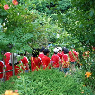 2010 어린이부 여름성경학교 #3 사진 276