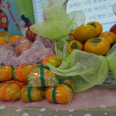 어린이부 추수감사예배 사진 61