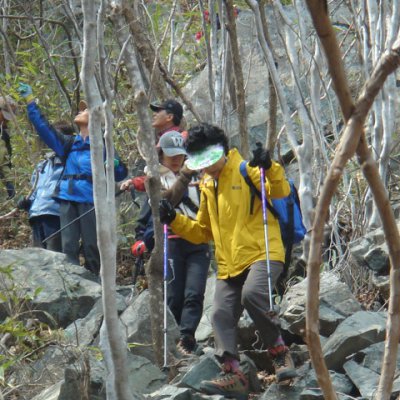 등산동아리 활동 (3~4월) 사진 8