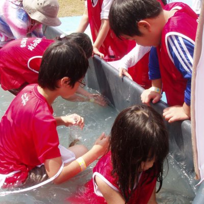 2011 어린이부 성경캠프 (2/3) 사진 39