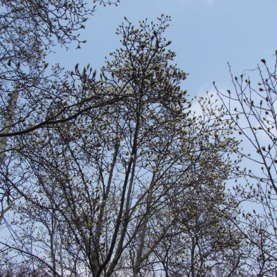등산동아리 활동 (2011년) 사진 35