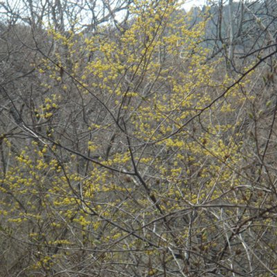 등산동아리 활동 (2011년) 사진 38
