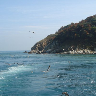 등산동아리 활동 (2011년) 사진 140