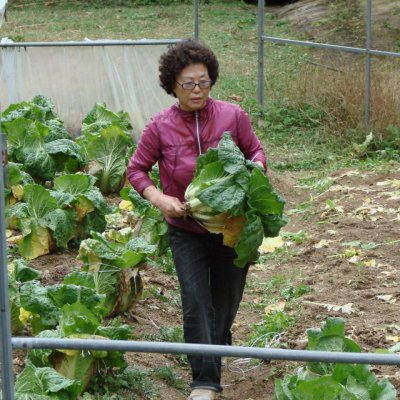 등산동아리 활동 (2011년) 사진 157