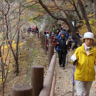 등산동아리 활동 (2011년) 사진 194