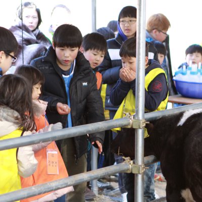 어린이부 성경캠프 사진 113