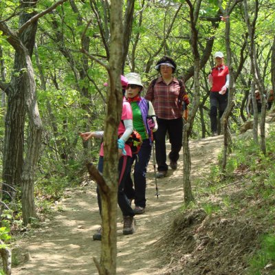 등산동아리 활동 (5월) 사진 7