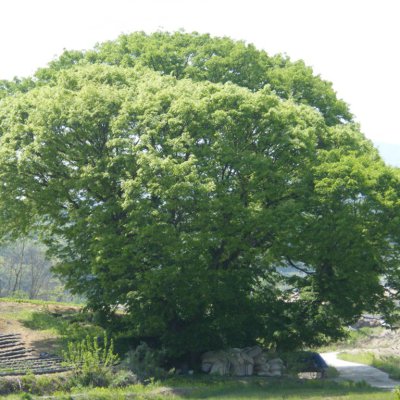선교지방문 (2012년 · 9개 교회) 사진 22
