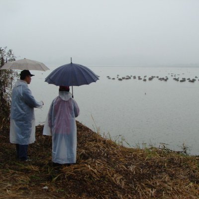 2남선/4여전도회 야외예배 사진 4