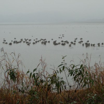 2남선/4여전도회 야외예배 사진 5