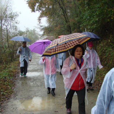 2남선/4여전도회 야외예배 사진 15