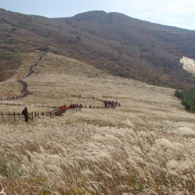 등산동아리 활동 (1~2월) 사진 14