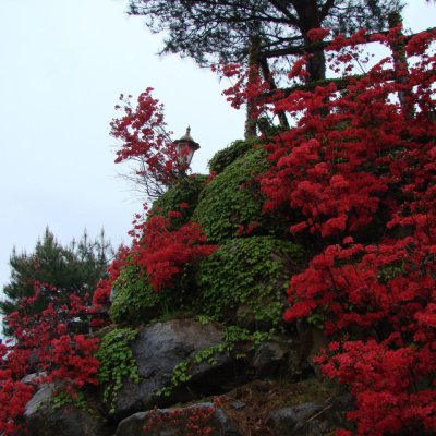 등산동아리 활동 (2013년) 사진 40