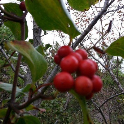 등산동아리 활동 (2013년) 사진 83