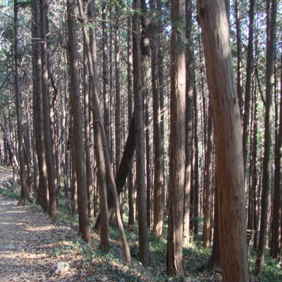 2013년11,12월 등산동아리 산행 사진 14