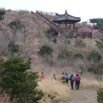 2014년 1월~ 4월 등산동아리 산행사진 사진 5
