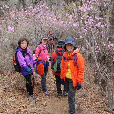 2014년 1월~ 4월 등산동아리 산행사진 사진 7