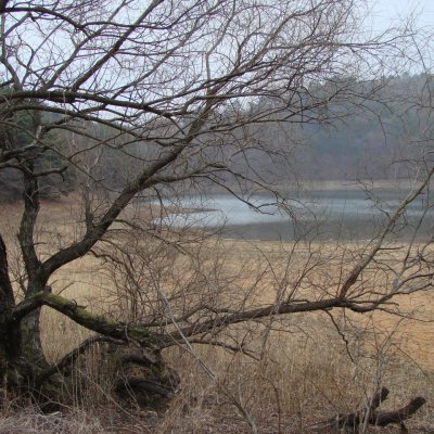 2014년 1월~ 4월 등산동아리 산행사진 사진 19
