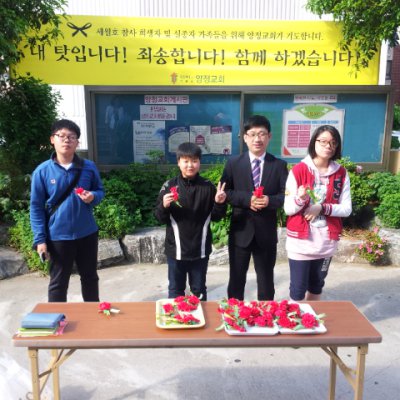 어버이날 꽃으로 말하다 사진 2