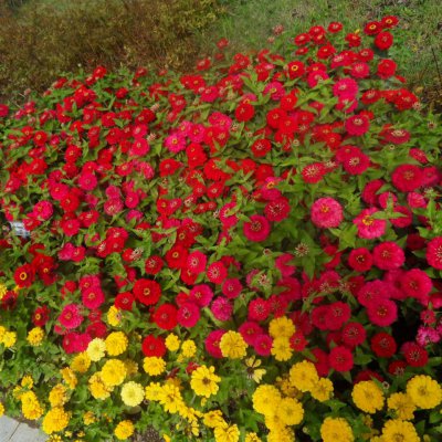 경로대학 사진 11