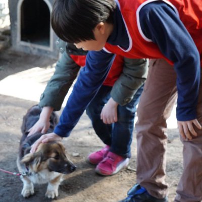 2015 겨울성경캠프 사진 33