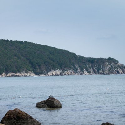 십자가의 길, 순교자의 길 체험 사진 24