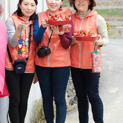 아기학교 딸기따기 체험 사진 19