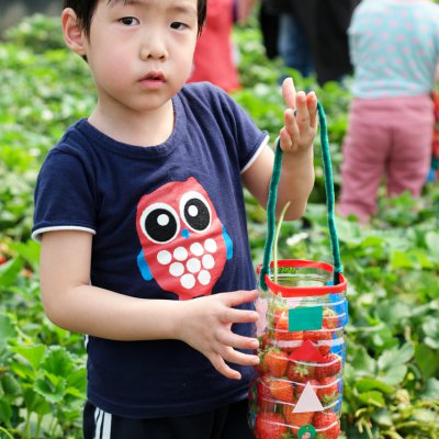 아기학교 딸기따기 체험 사진 26