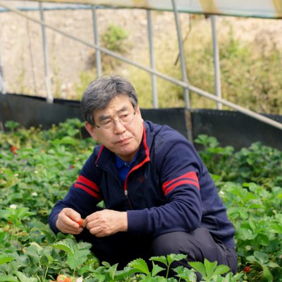 아기학교 딸기따기 체험 사진 28
