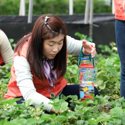 아기학교 딸기따기 체험 사진 45