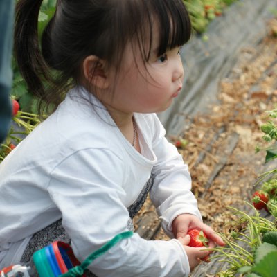 아기학교 23기 (5~8주) 사진 22