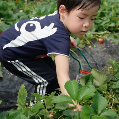 아기학교 23기 (5~8주) 사진 35